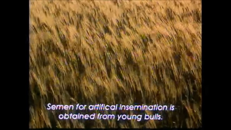 firefox_2018-11-17_12-51-01